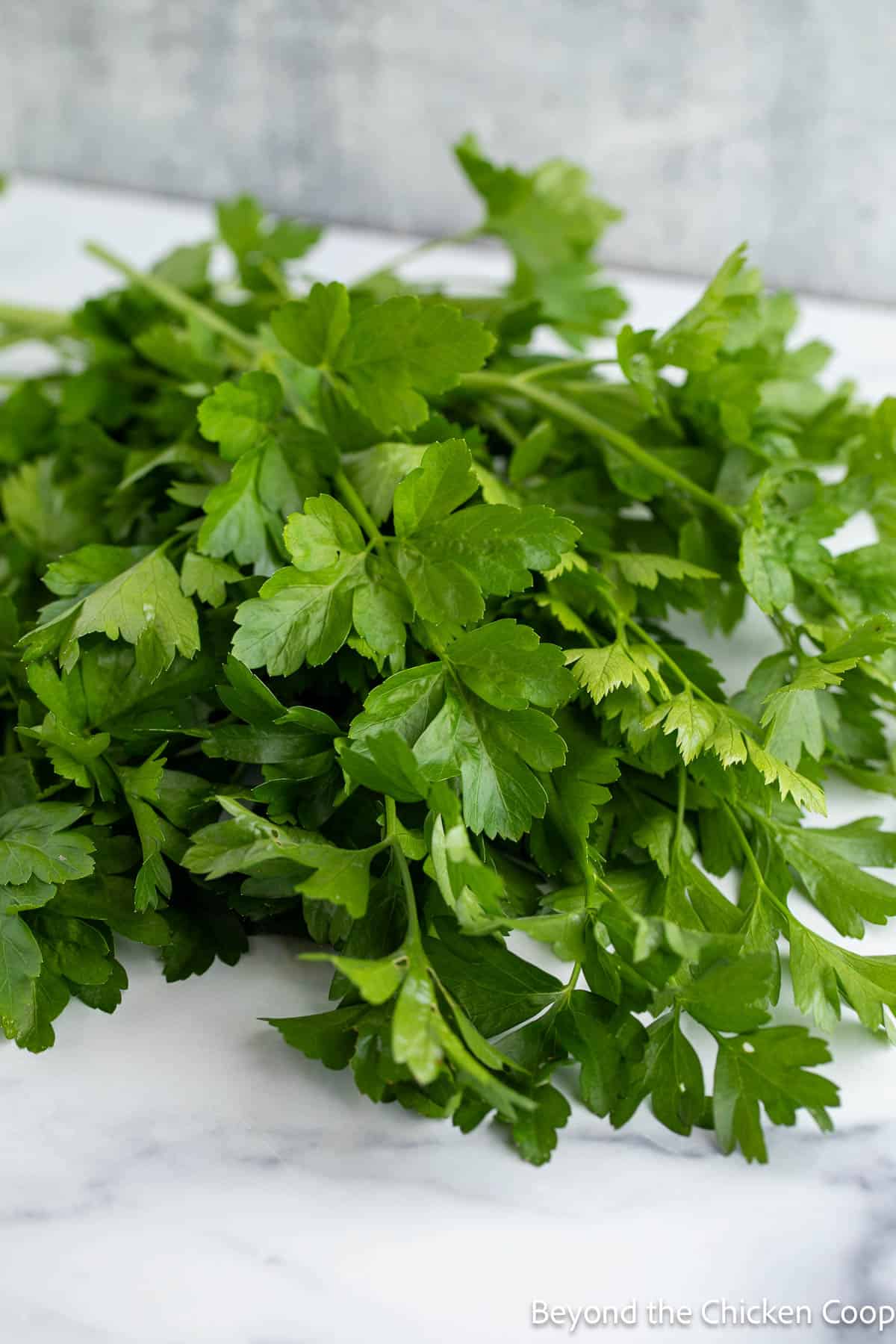 A bunch of fresh parsley on a board. 