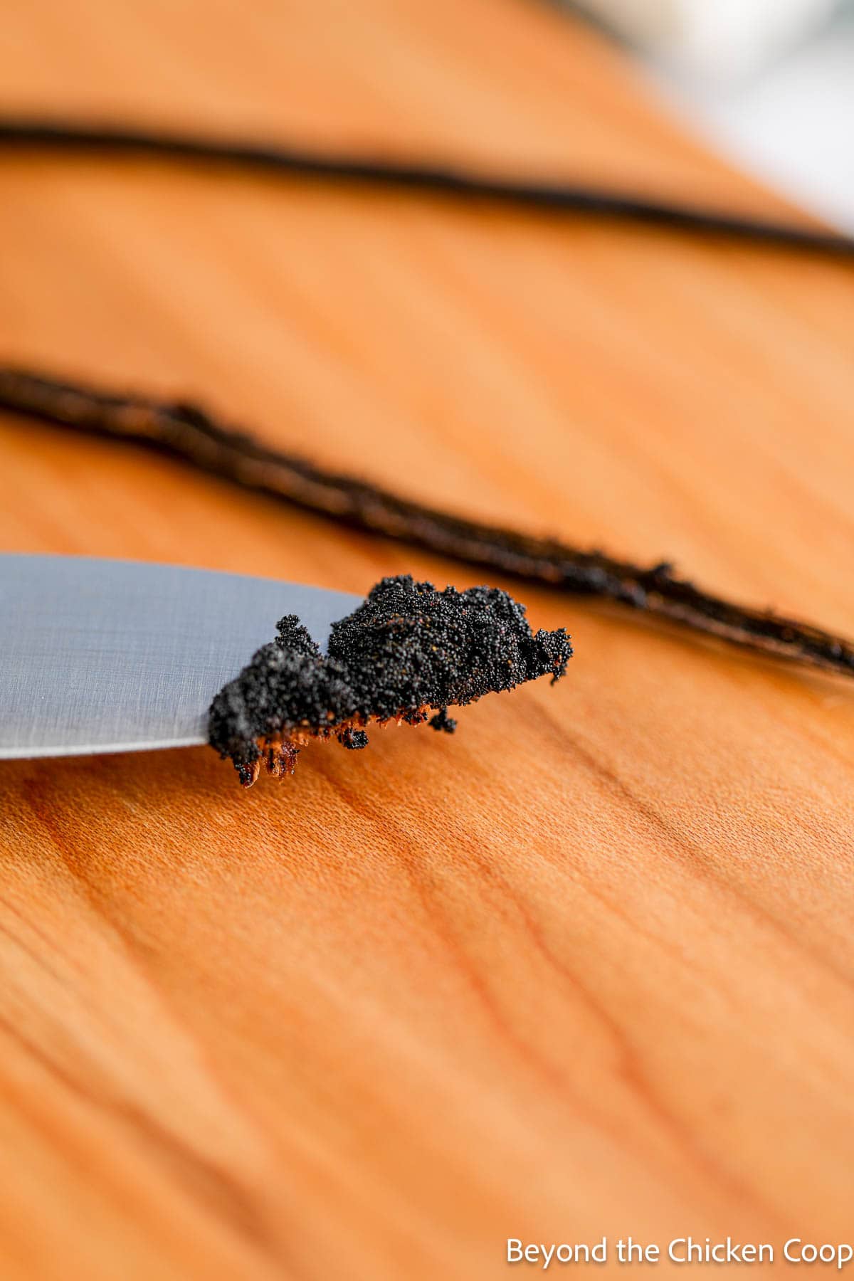 Vanilla bean on a knife. 