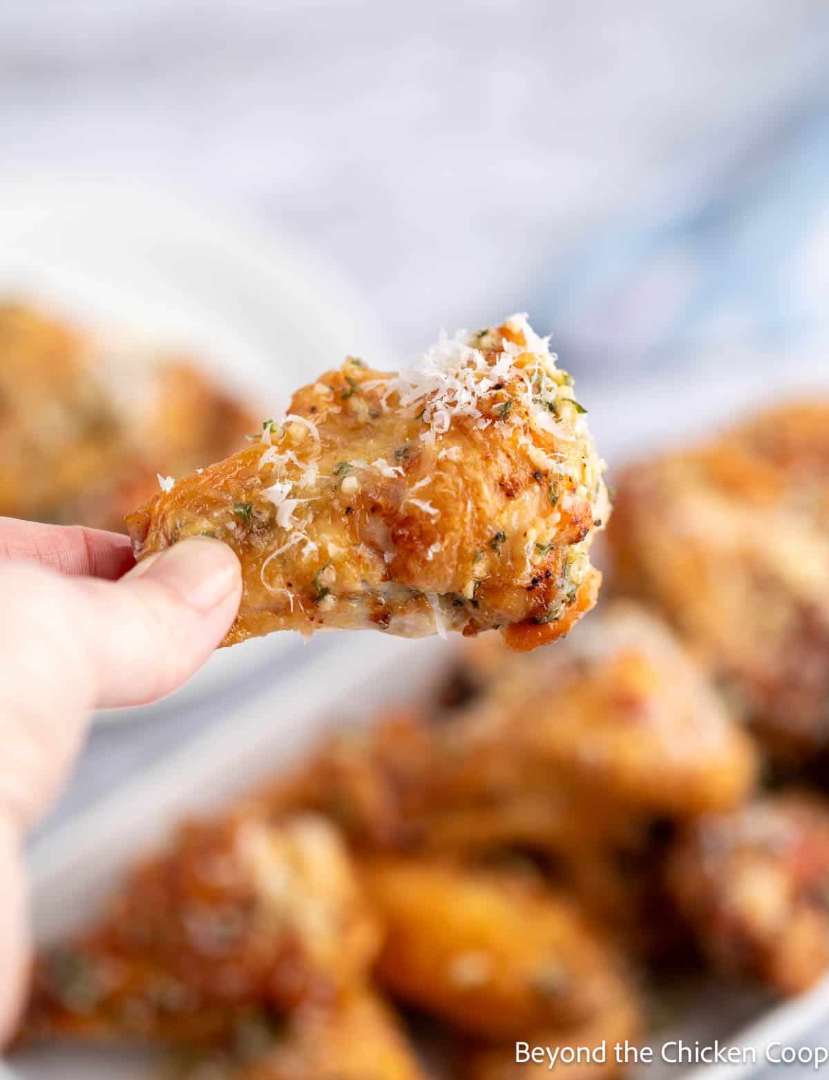 A chicken wing sprinkled with parmesan cheese. 