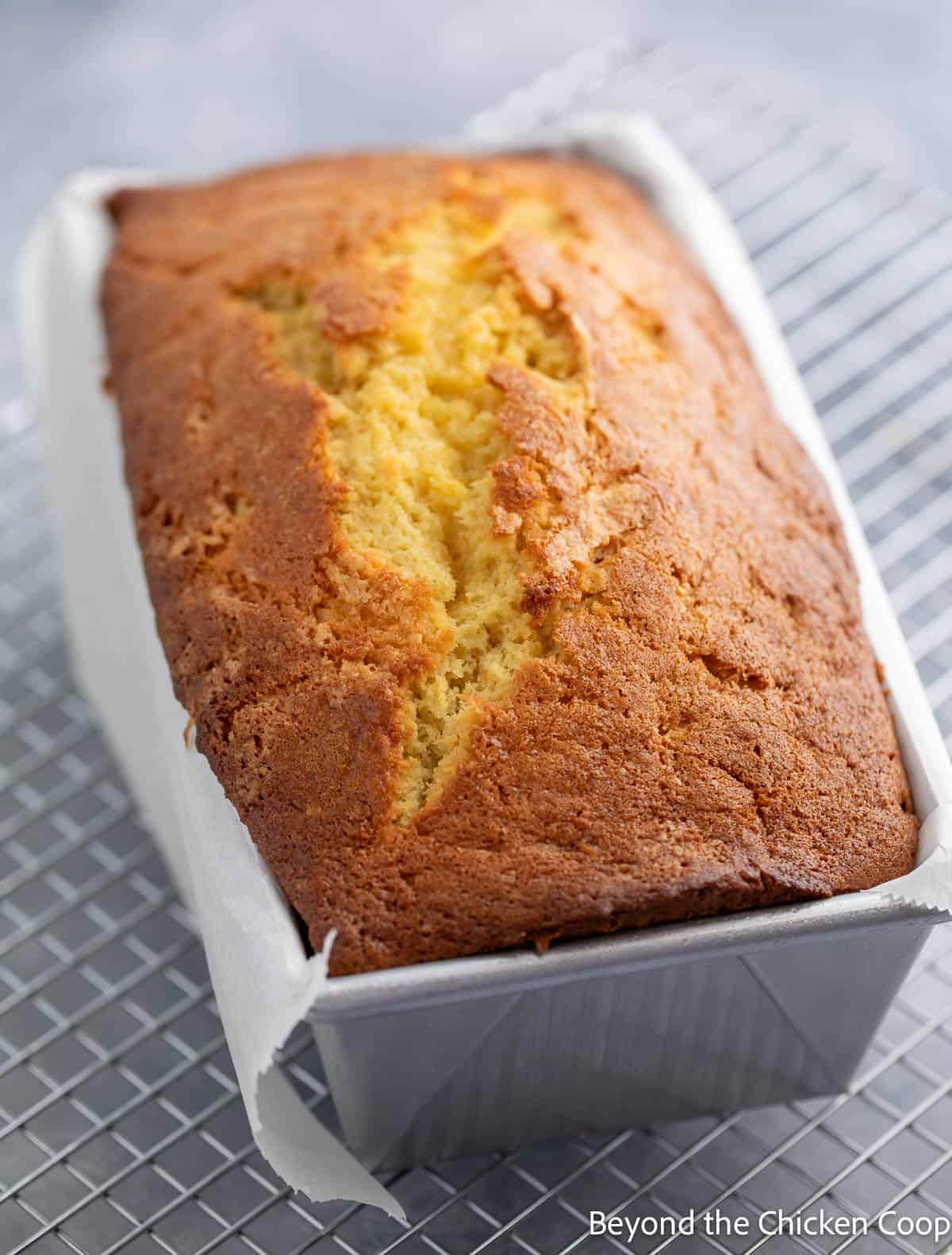 A baked pound cake in a loaf pan. 