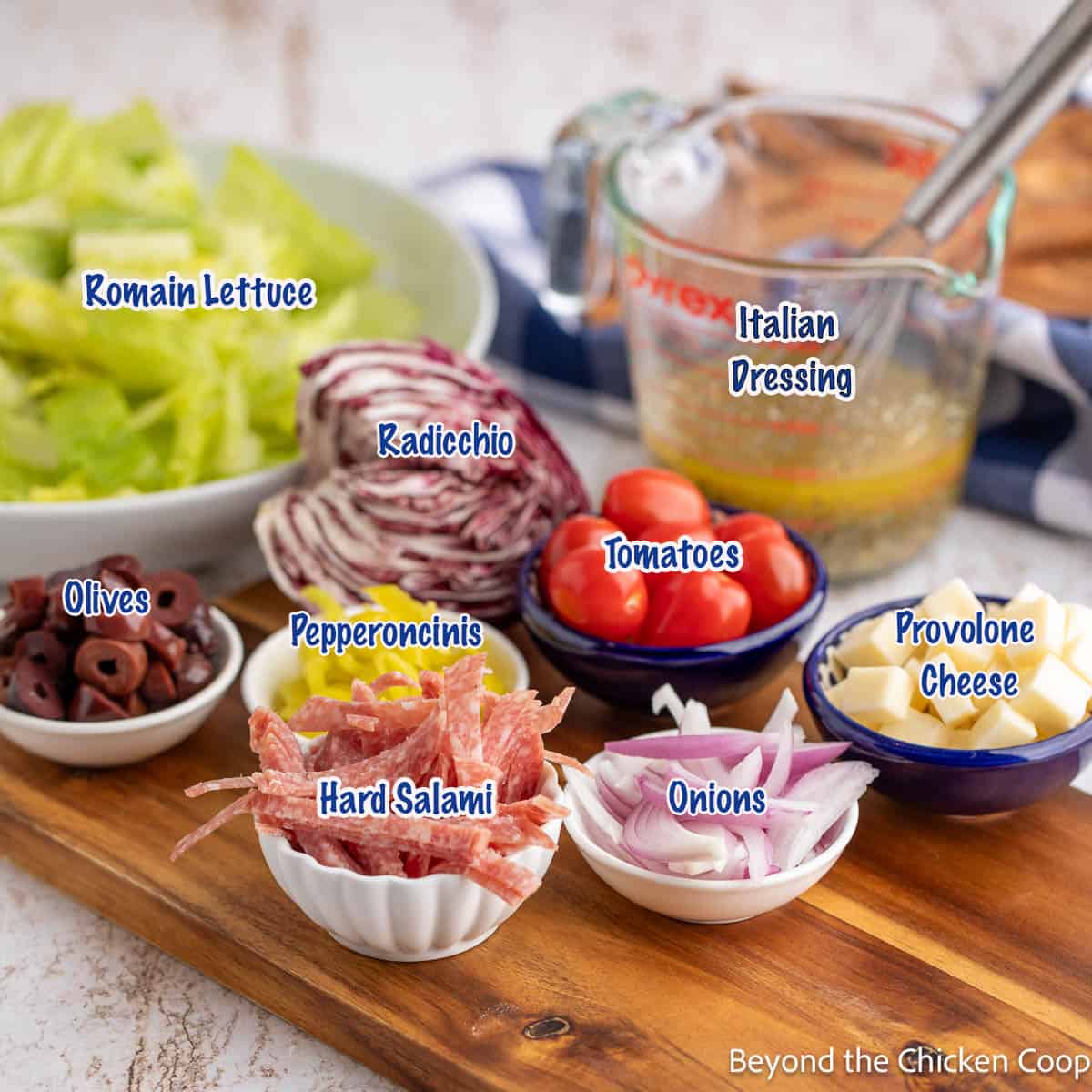 Ingredients for making a chopped salad.