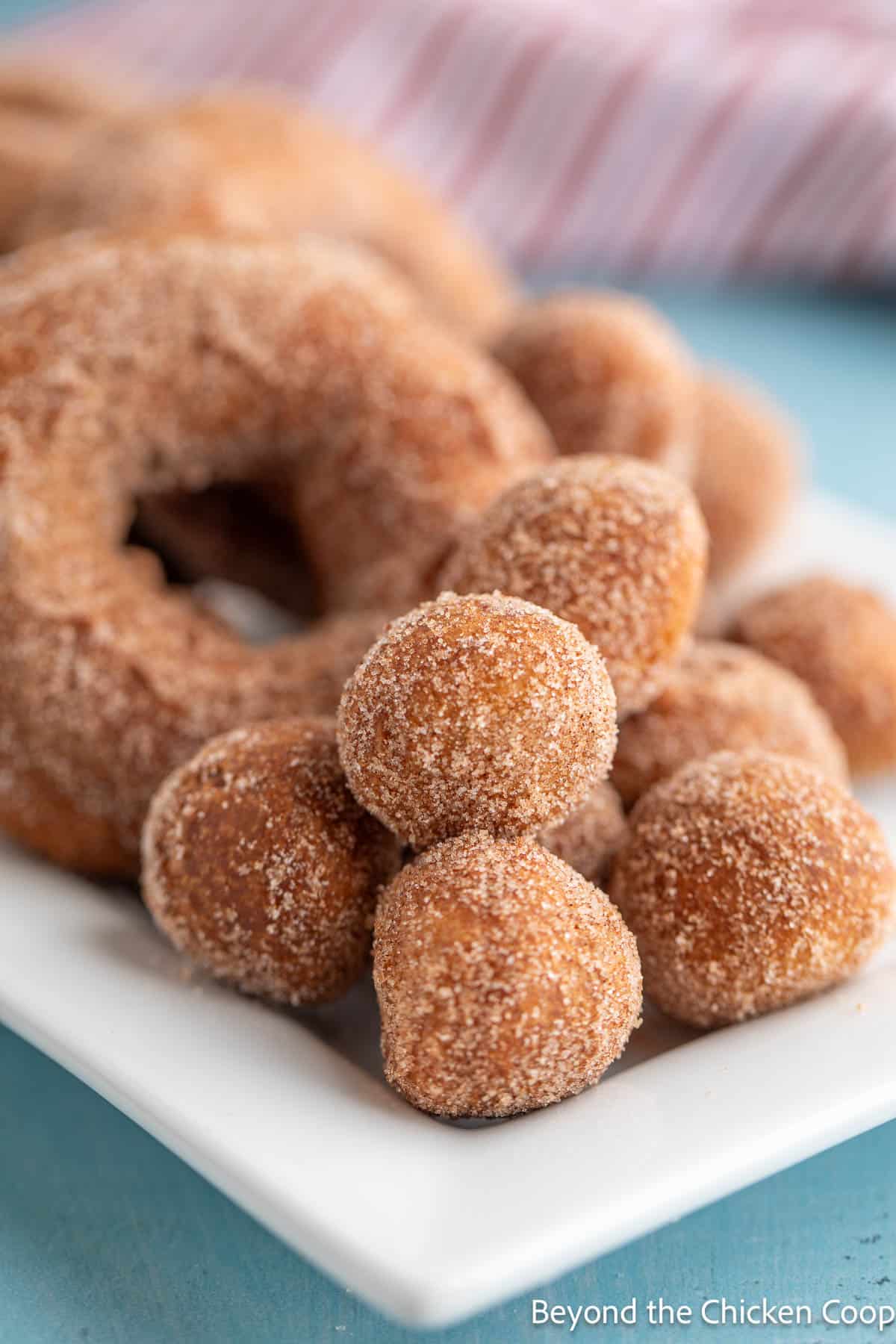 Cinnamon sugar donuts and donut holes on a white platter. 