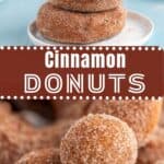 Cinnamon donuts and donut holes on a plate.