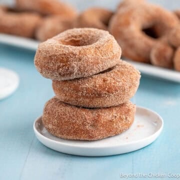 Cinnamon cake donuts stacked on a small plate.