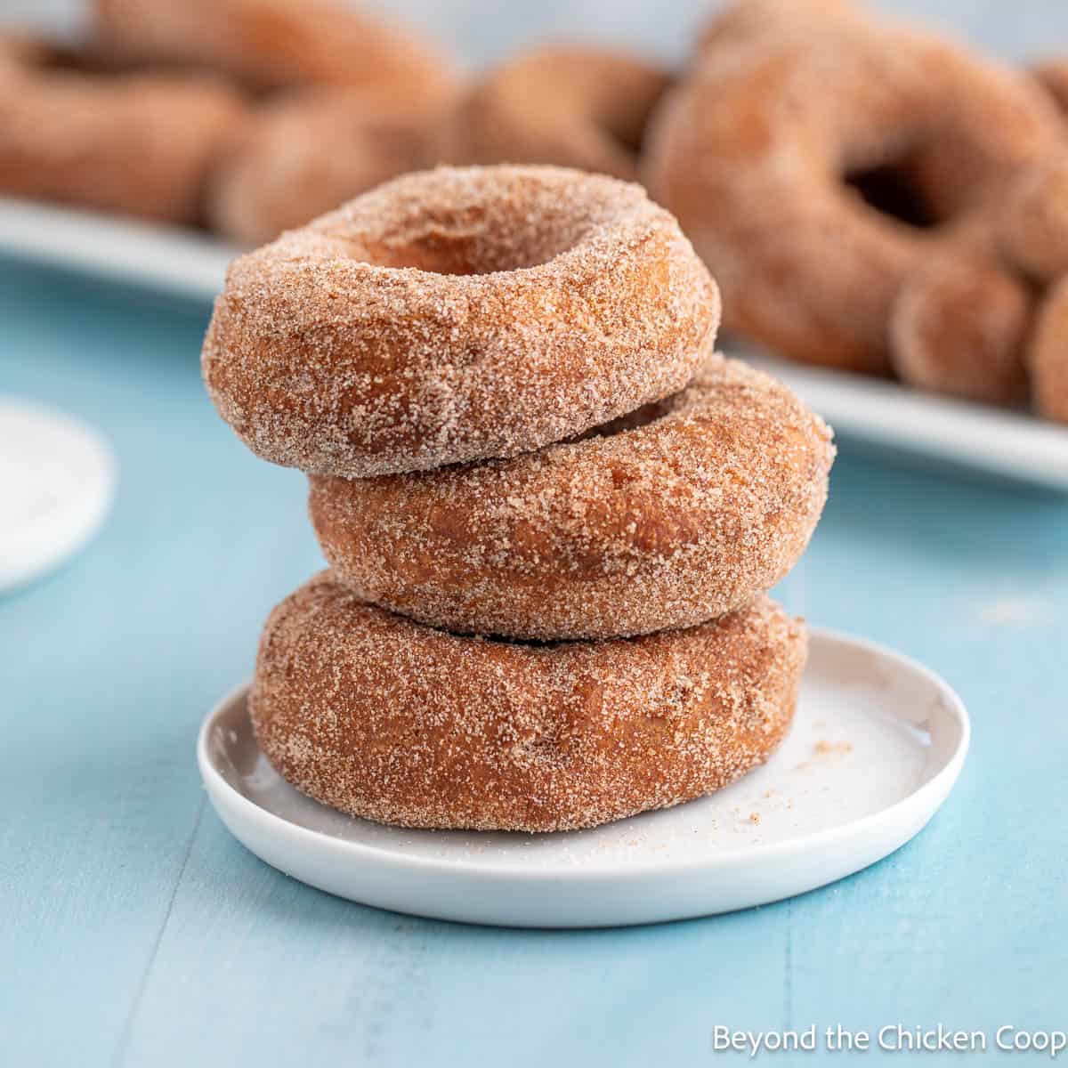Cinnamon sugar donuts stacked on a small plate.