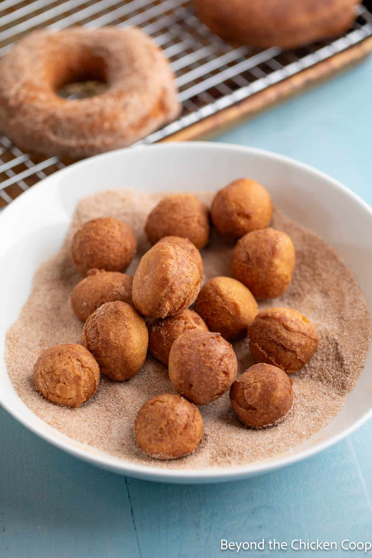 Donut holes in a bowl of cinnamon sugar. 