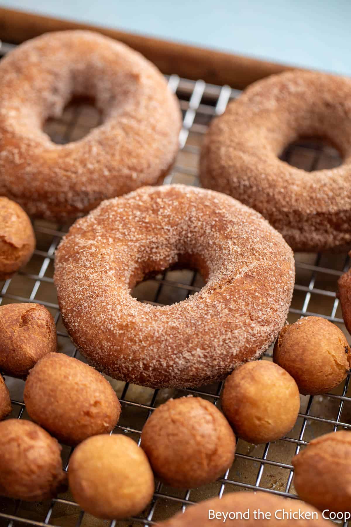 Cake donuts and donut holes on a baking rack. 