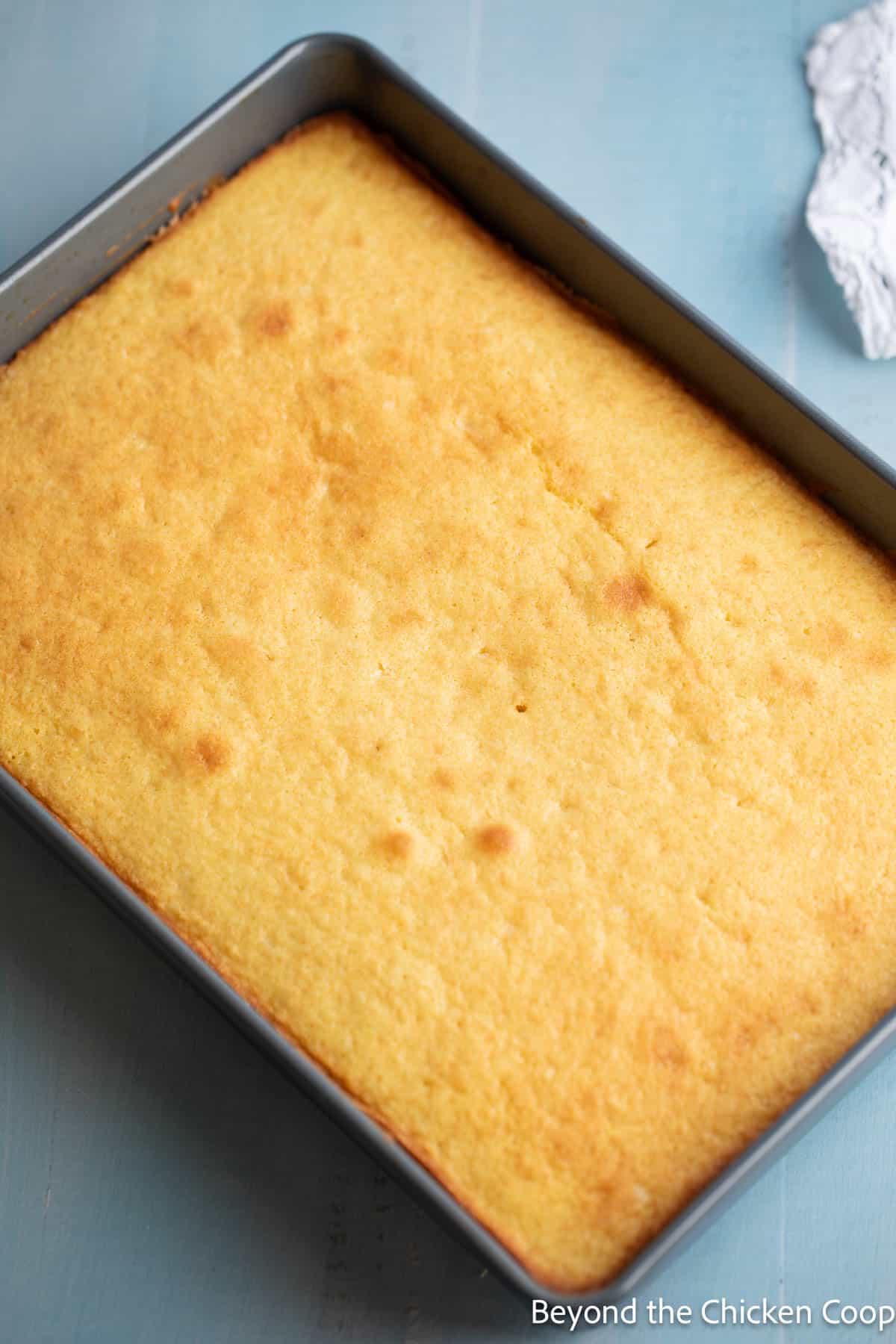 A baked cake in a pan. 