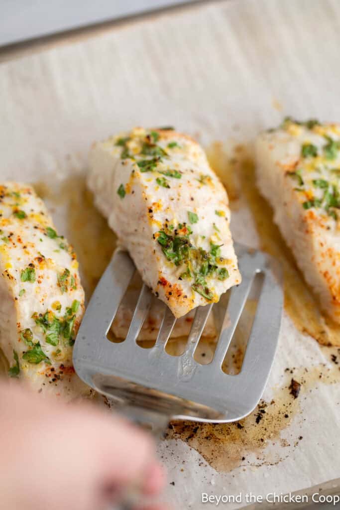 Sliding a spatula under a fish fillet to remove the skin. 