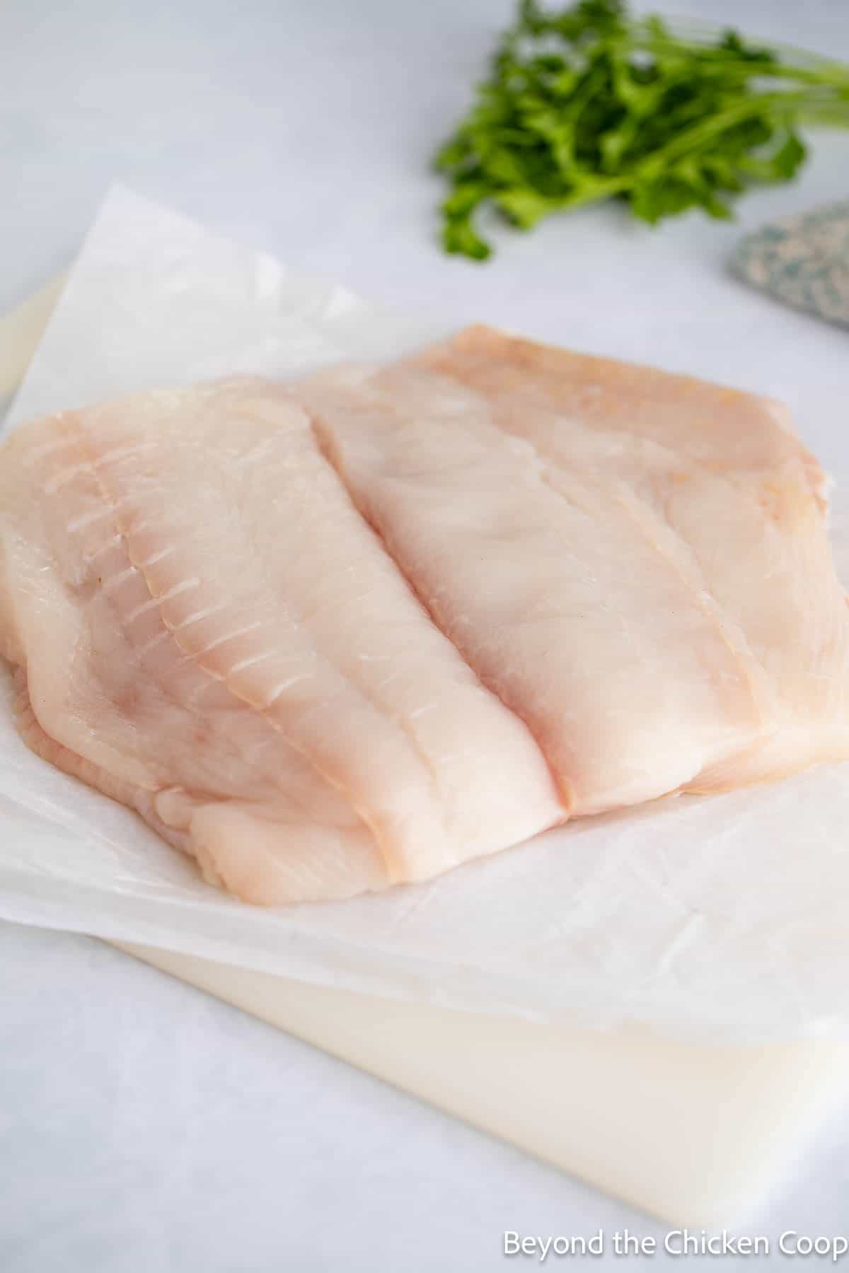A portion of halibut on parchment paper. 