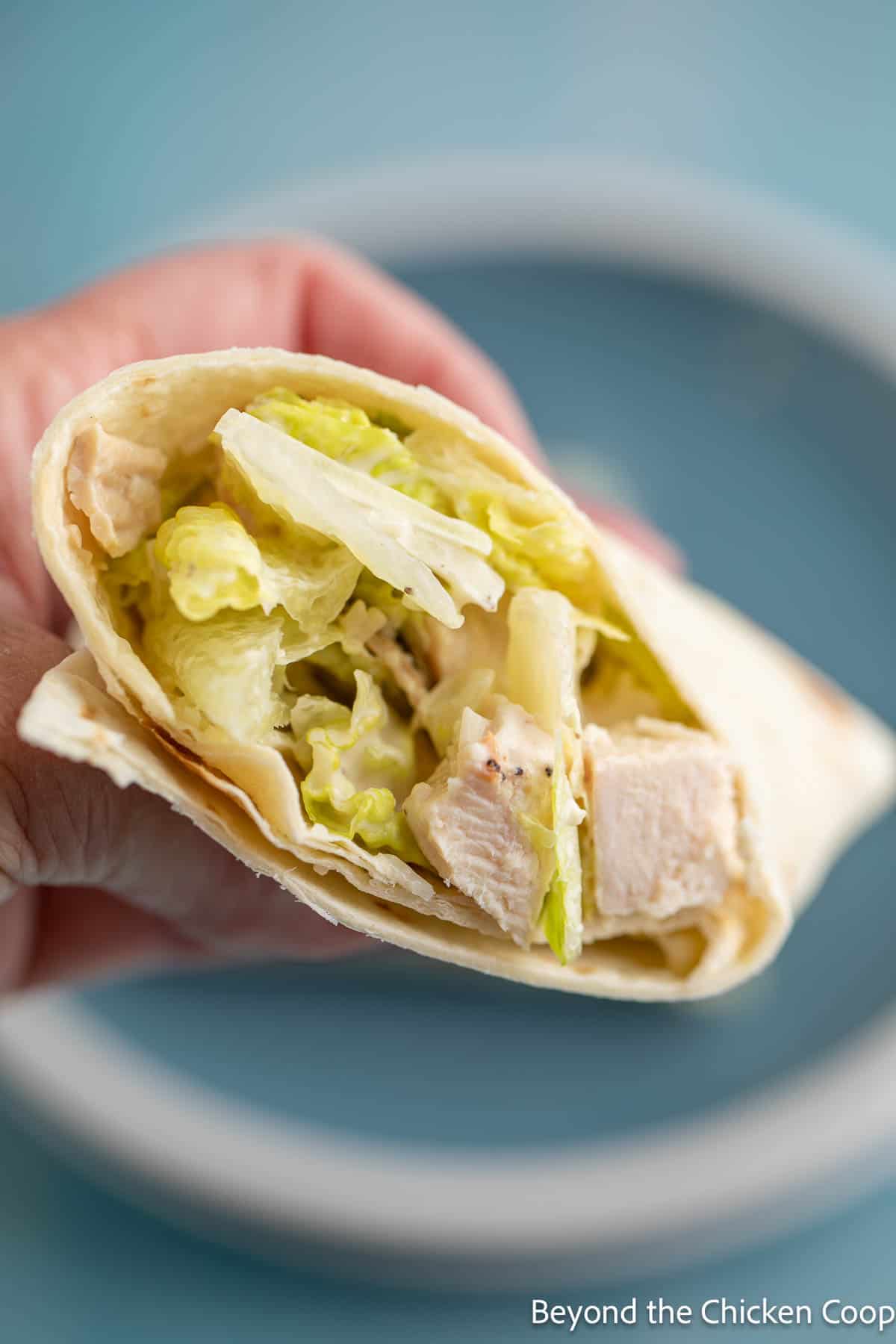 A chicken salad wrap in a tortilla. 