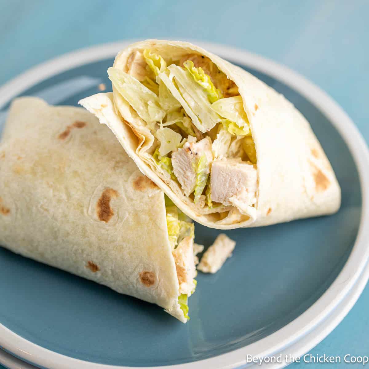Chicken Caesar Wraps Chicken Caesar wrap on a blue and white plate.