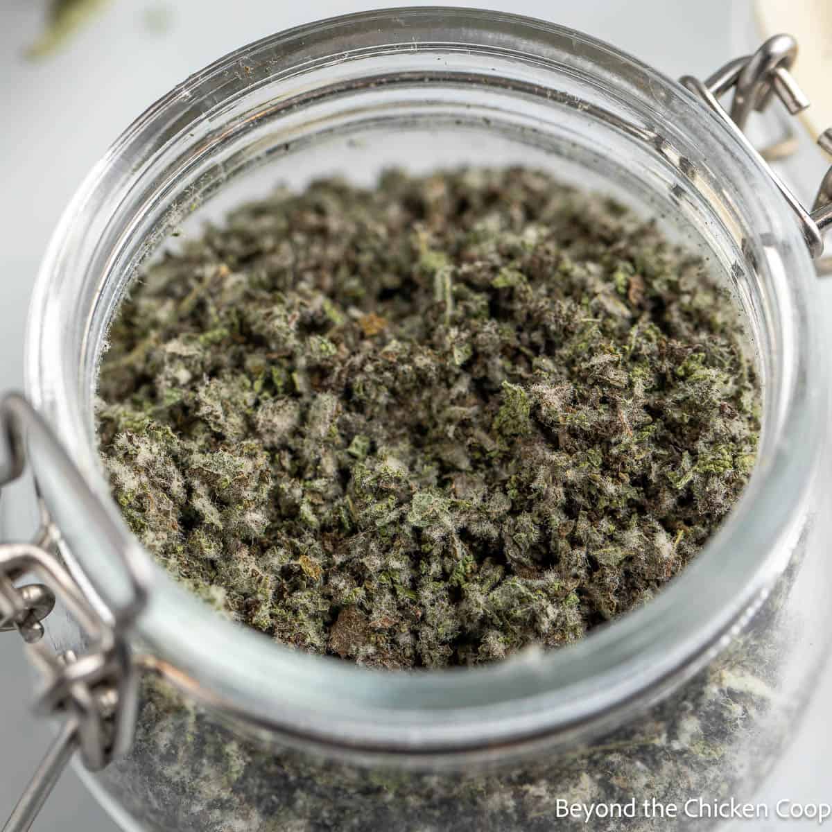 A jar filled with crushed dried sage leaves.