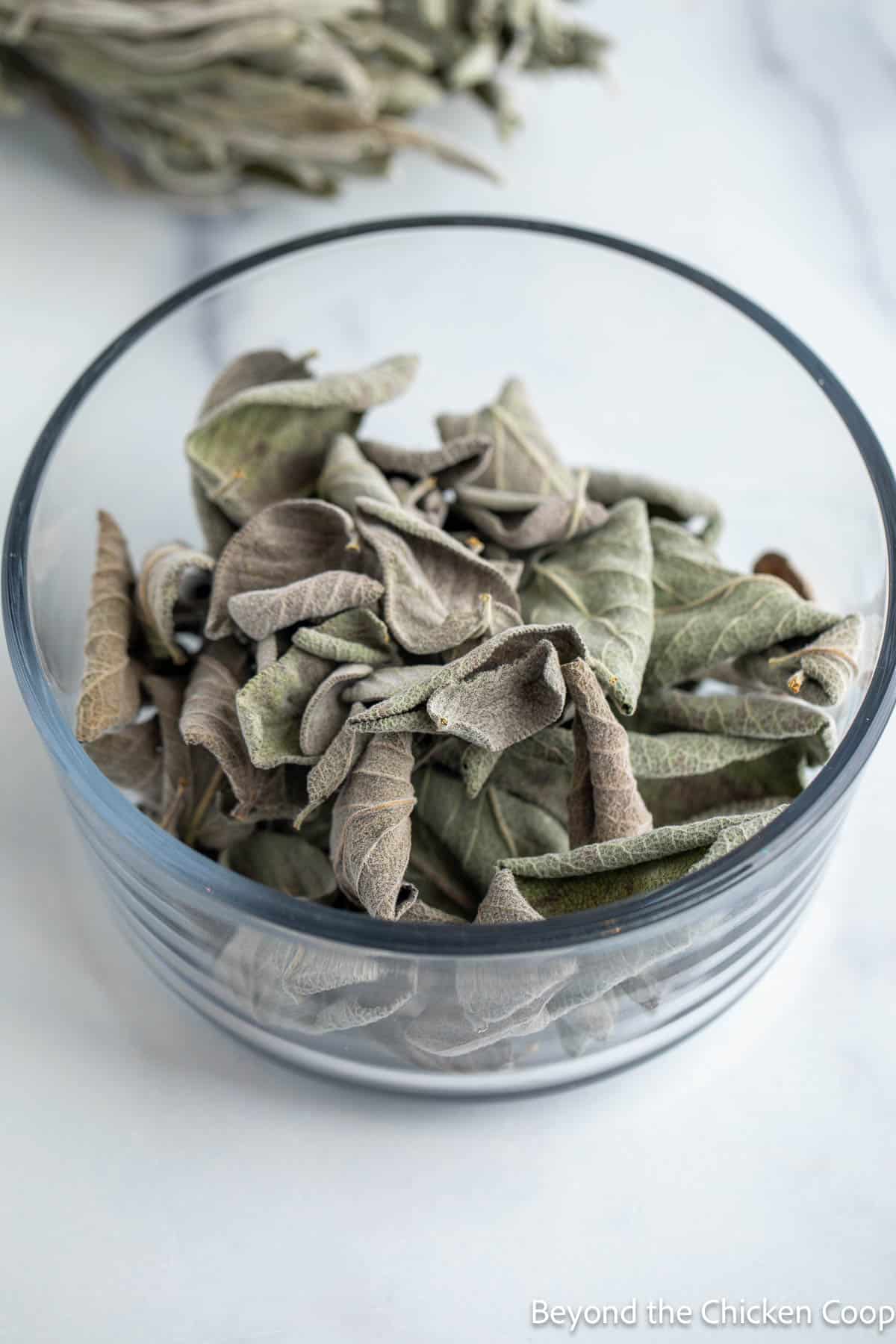 Dried whole sage leaves in a glass bowl. 