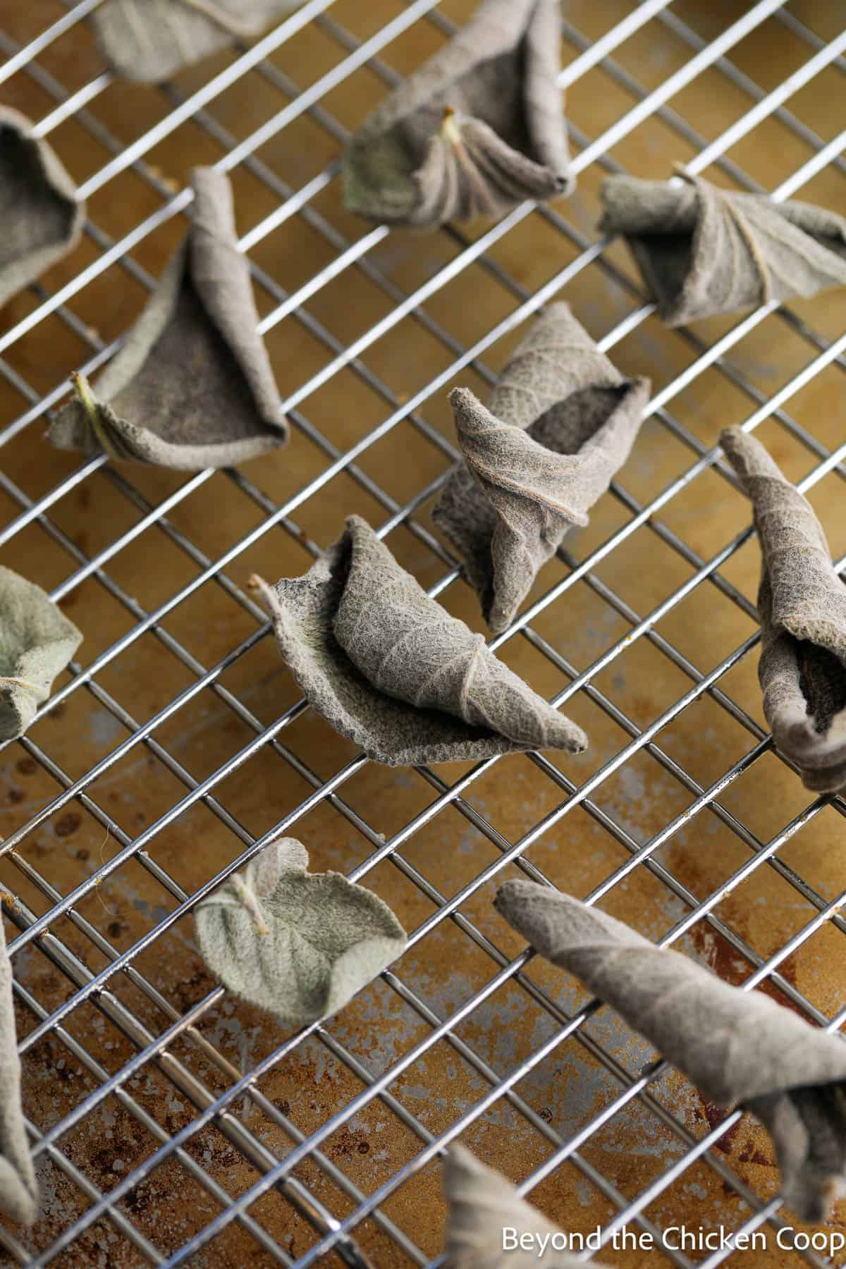 Dried sage leaves on a baking rack. 