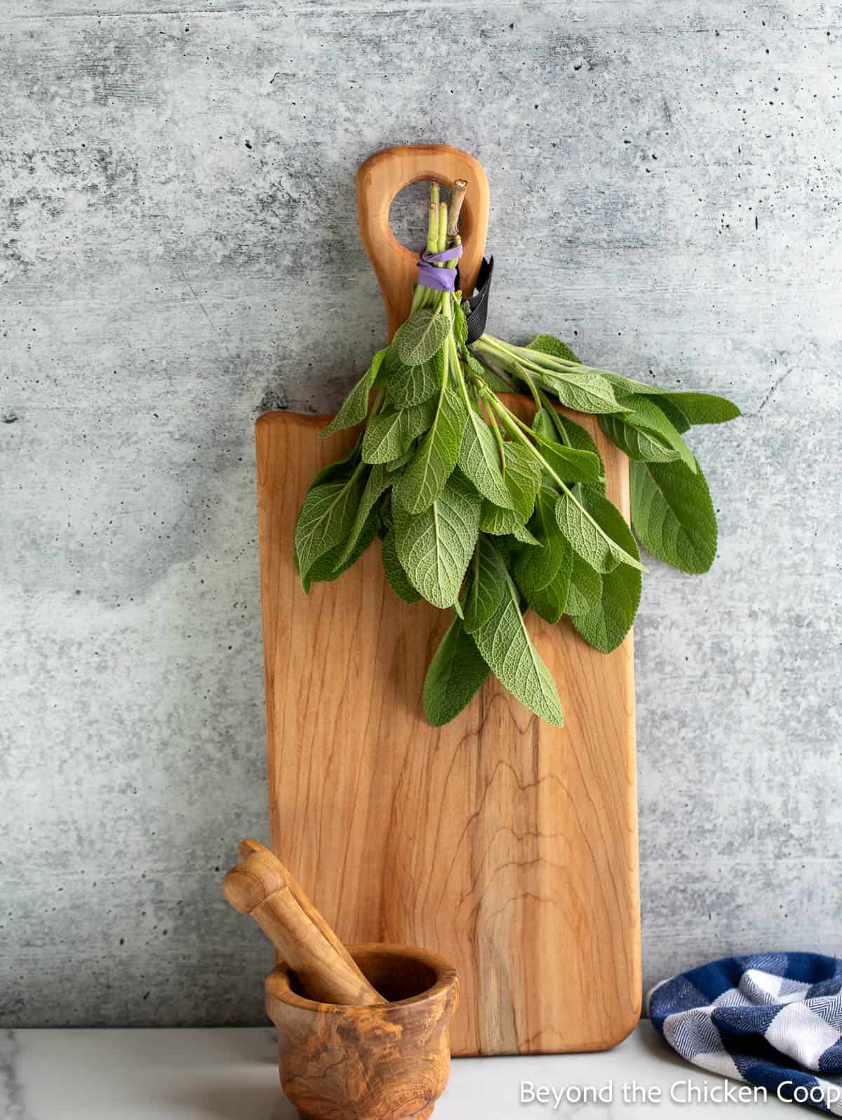 Fresh sage leaves hanging from a wooden board. 