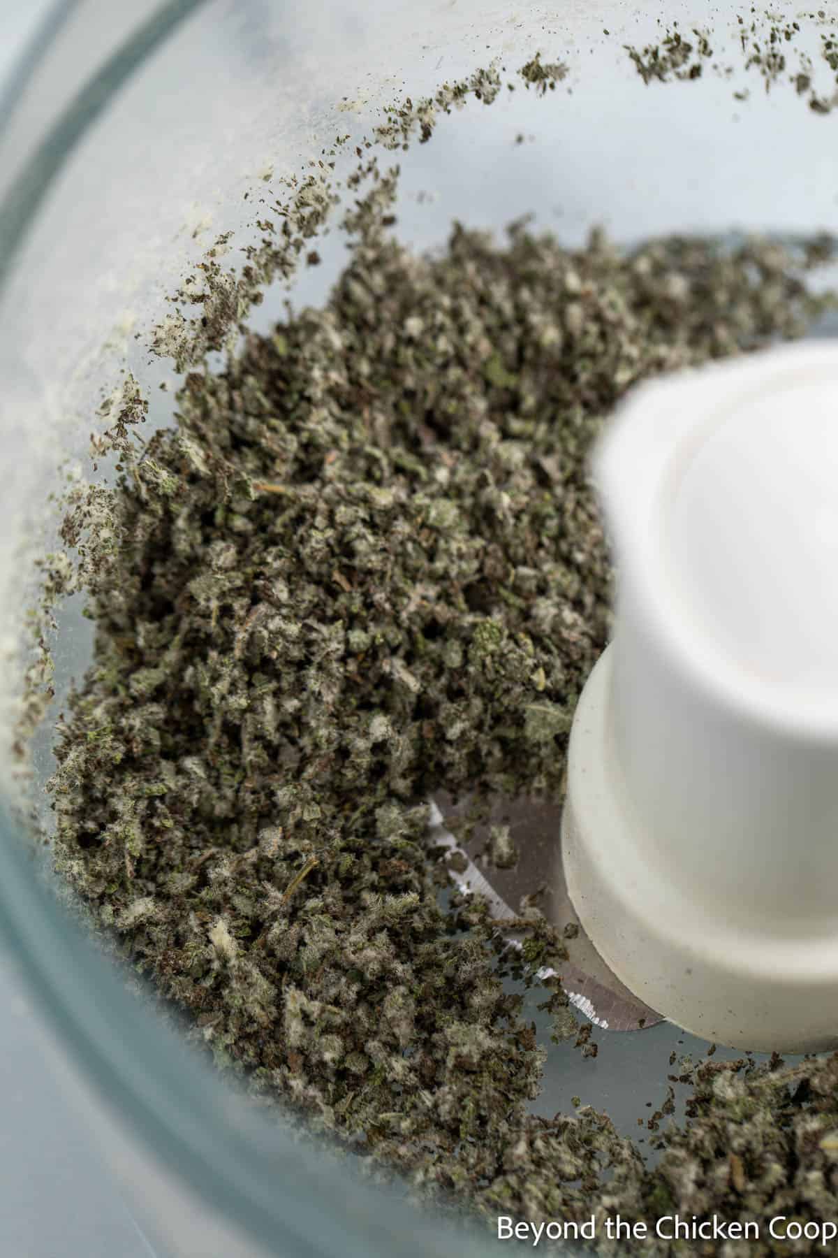 Pureed sage leaves in a food processor. 
