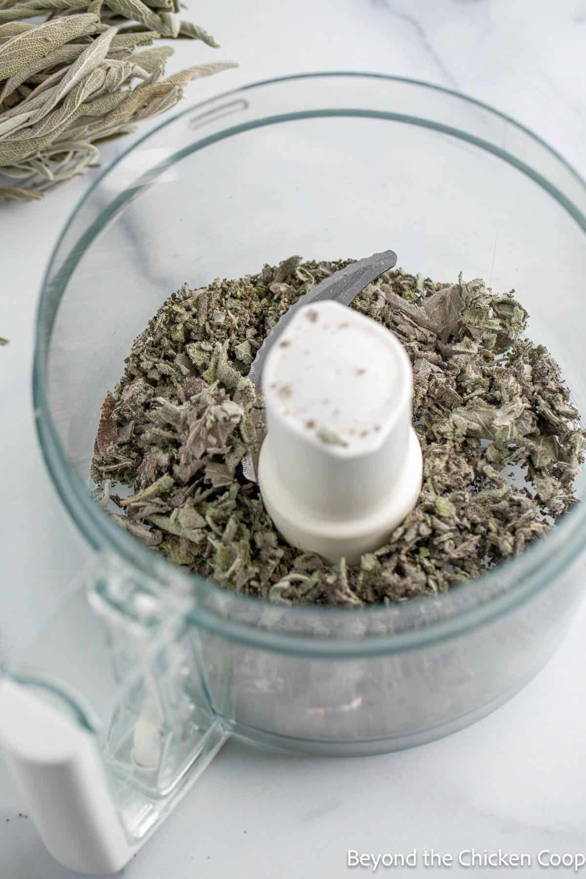 Crumbled sage leaves in a food processor. 