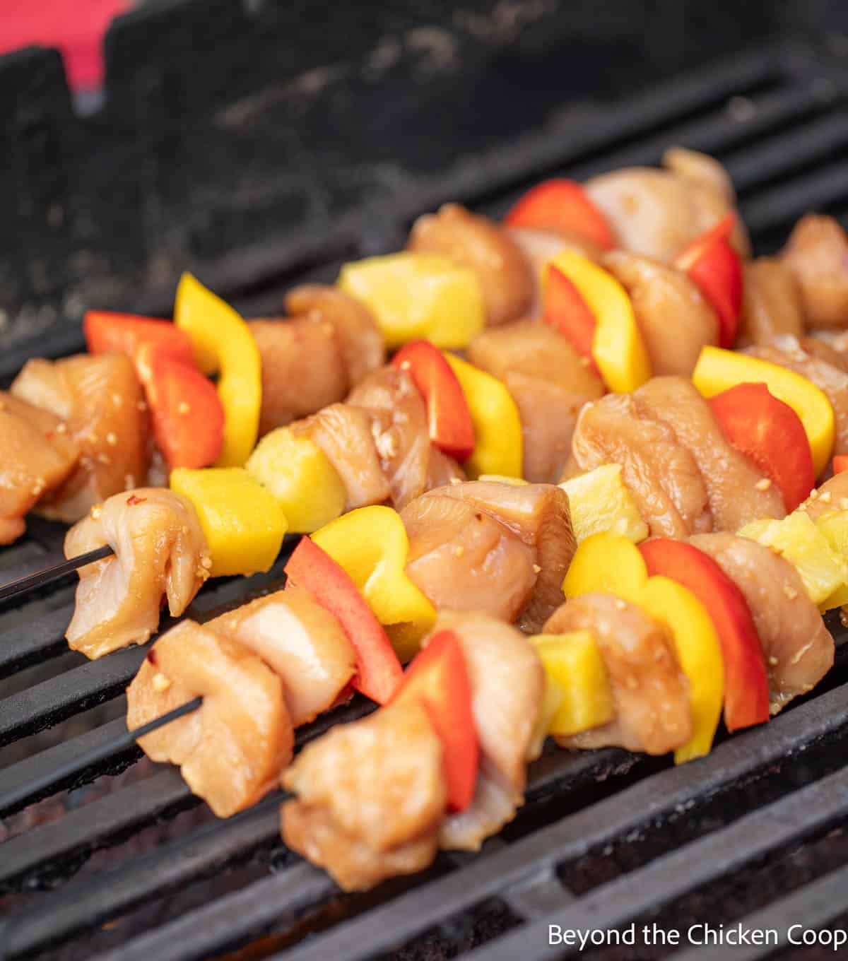 Chicken skewers on a BBQ grill. 