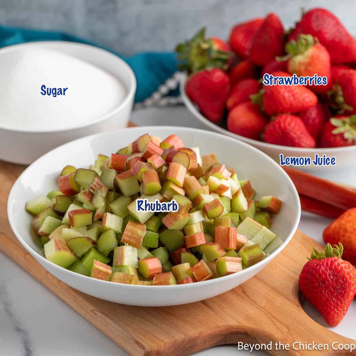 Ingredients for making strawberry and rhubarb jam. 