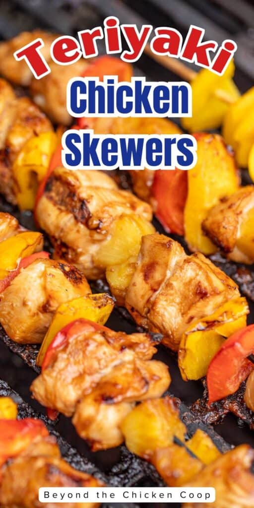 Teriyaki kabobs on a BBQ grill.