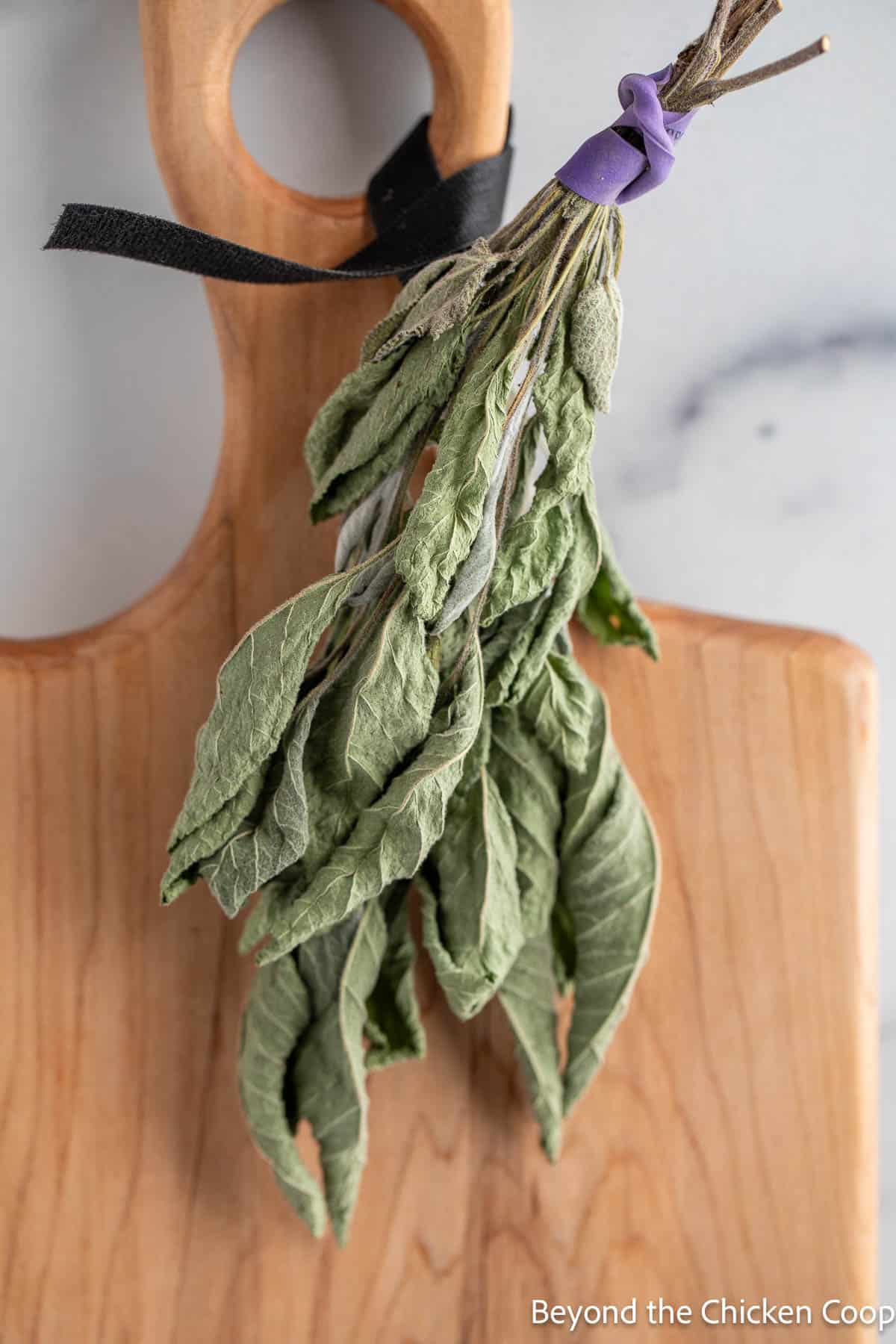 Dried sage leaves hanging from a wooden board. 