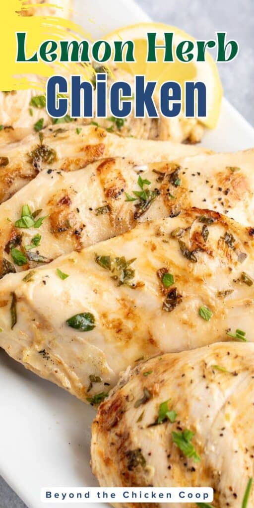Grilled chicken with lemon and herbs.