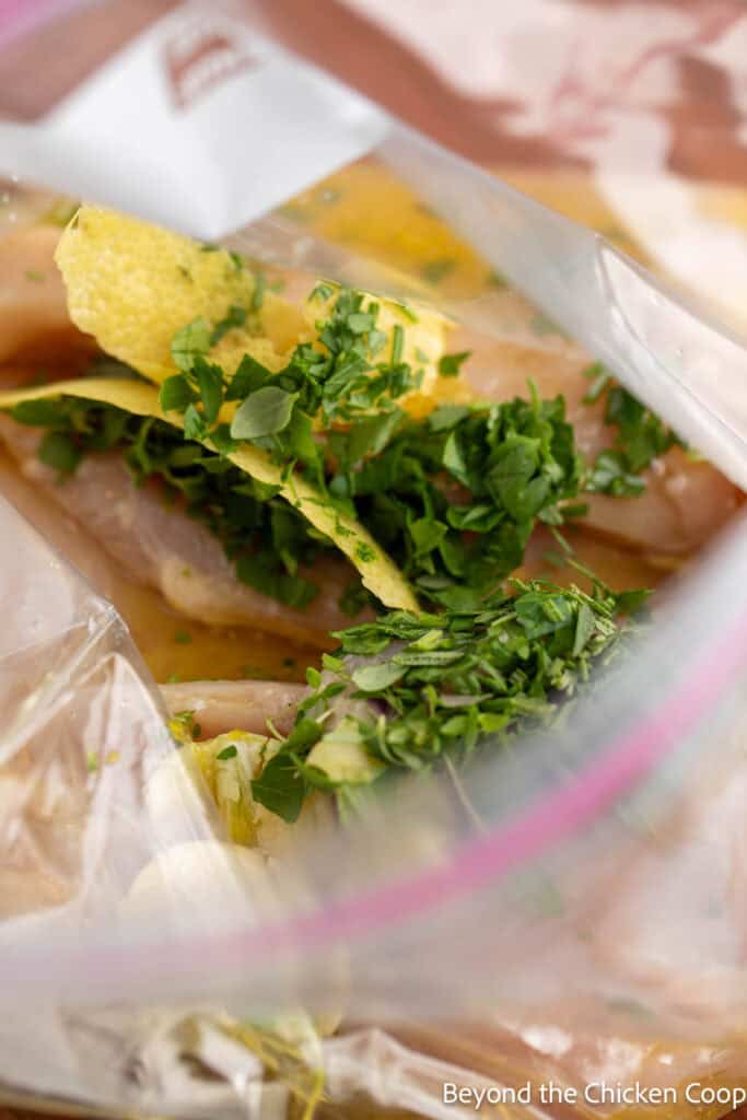 Filling a plastic bag with herbs, lemon zest and garlic.
