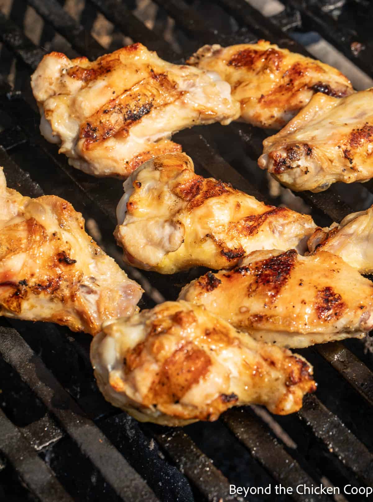 Cooking wings on a gas grill. 