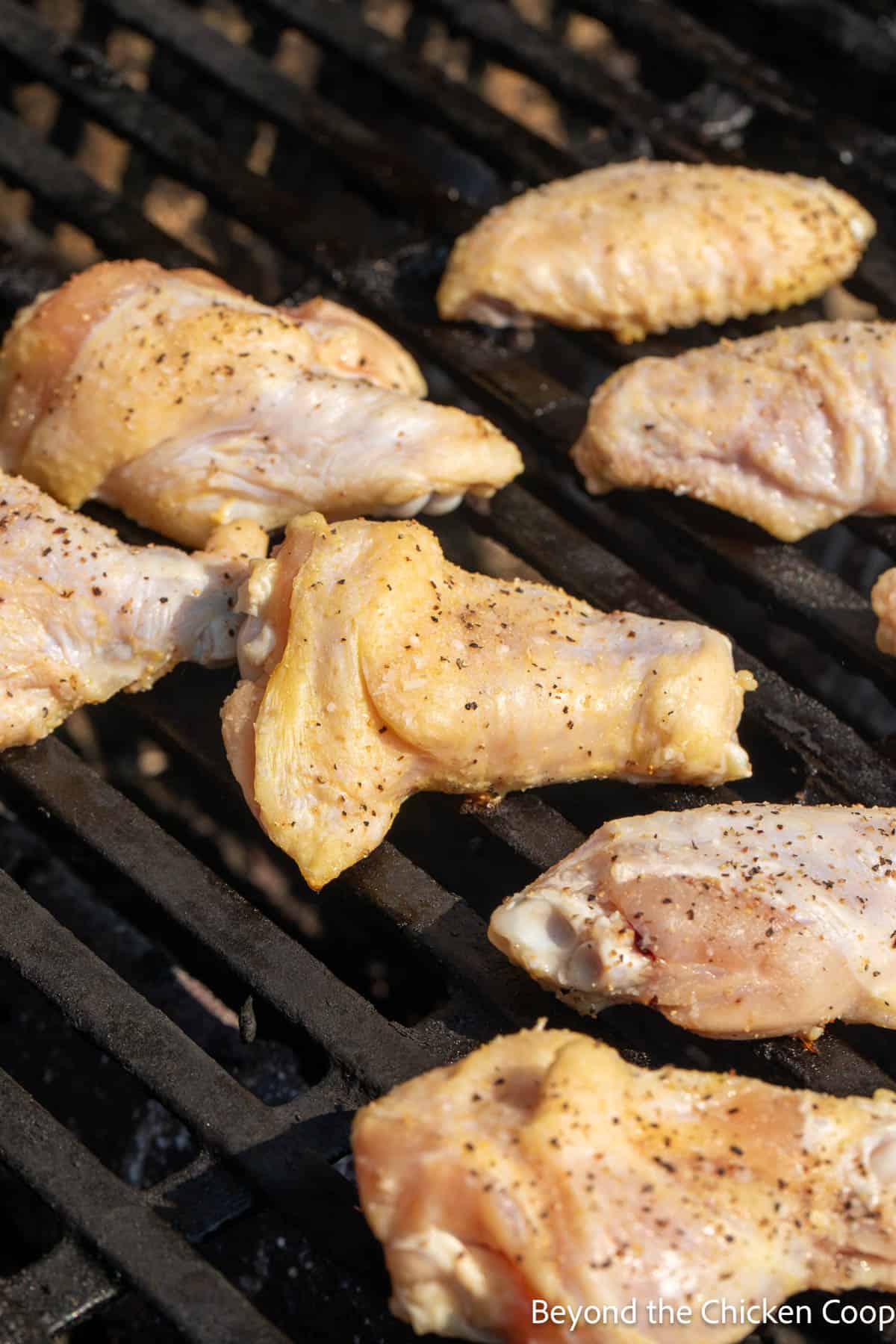 Chicken wings on a grill. 