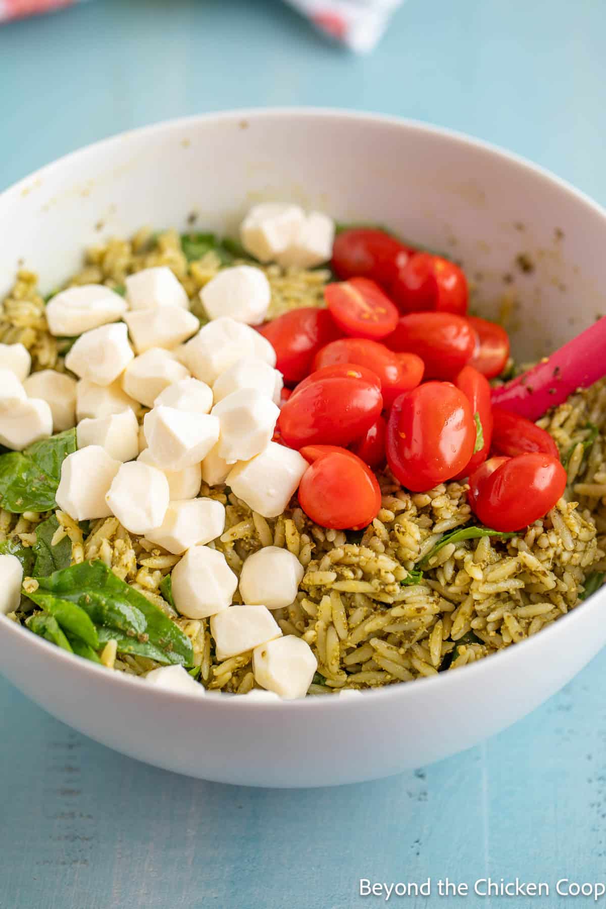 Chopped tomatoes and mozzarella balls in a pasta salad. 