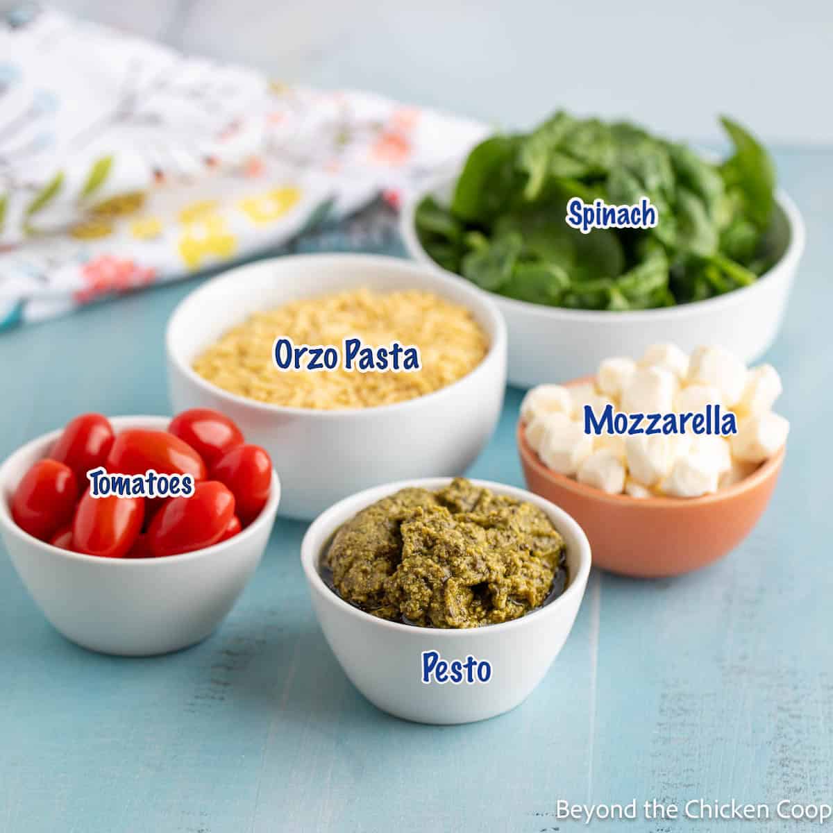 Small bowls filled with pesto, tomatoes, mozzarella, spinach and orzo pasta. 
