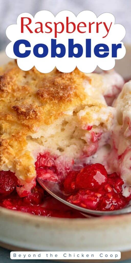 Raspberry cobbler with melting ice cream.