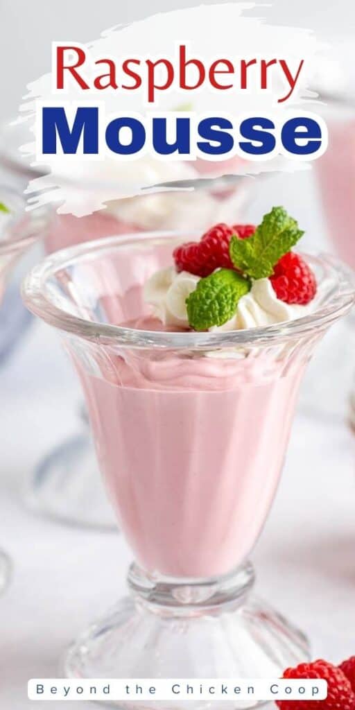A glass ice cream jar filled with pink mousse.