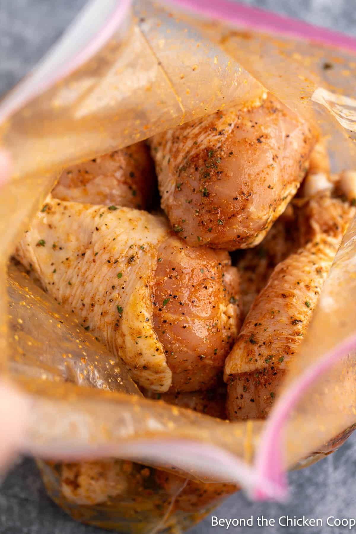 Drumsticks in a bag with seasoning.
