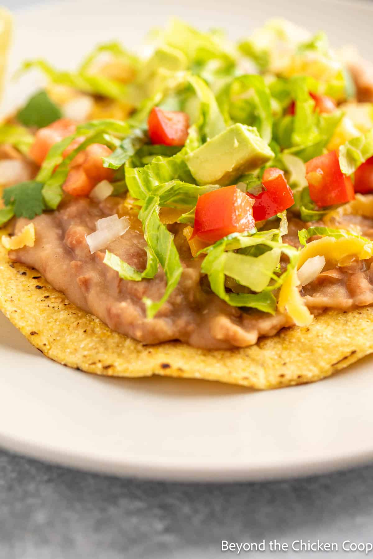 A tostada topped with beans, lettuce and tomatoes. 