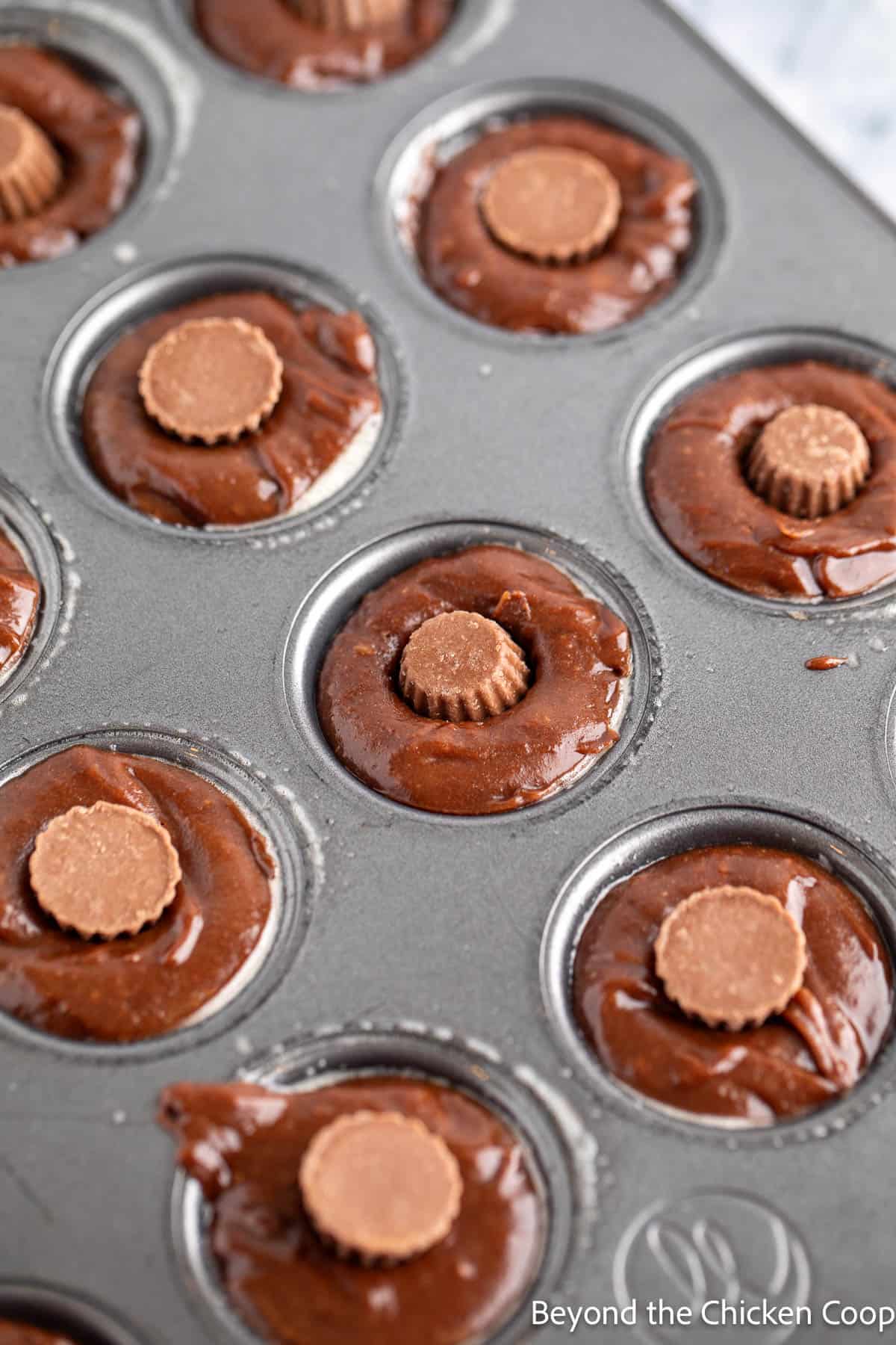 Mini peanut butter cups in brownie batter.