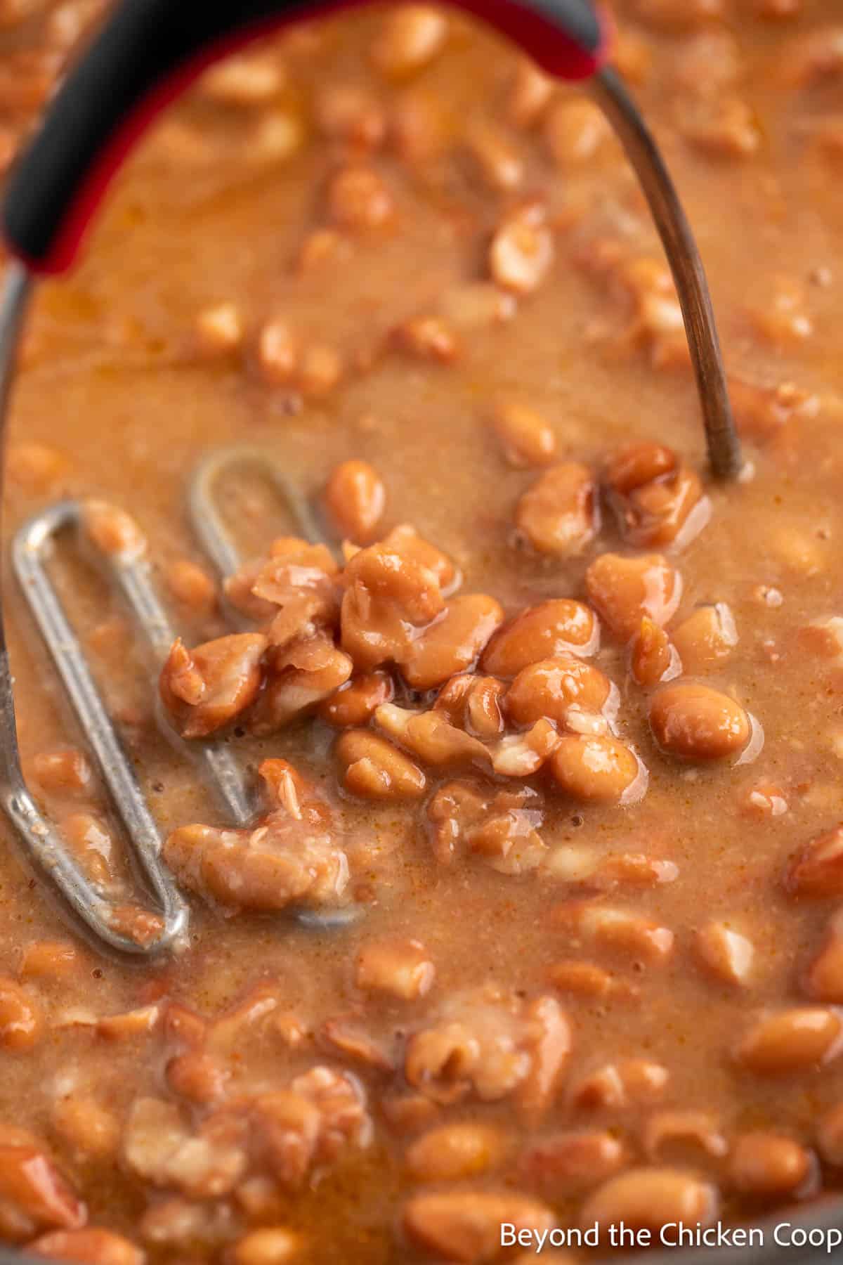 Pinto beans being mashed in a pan. 