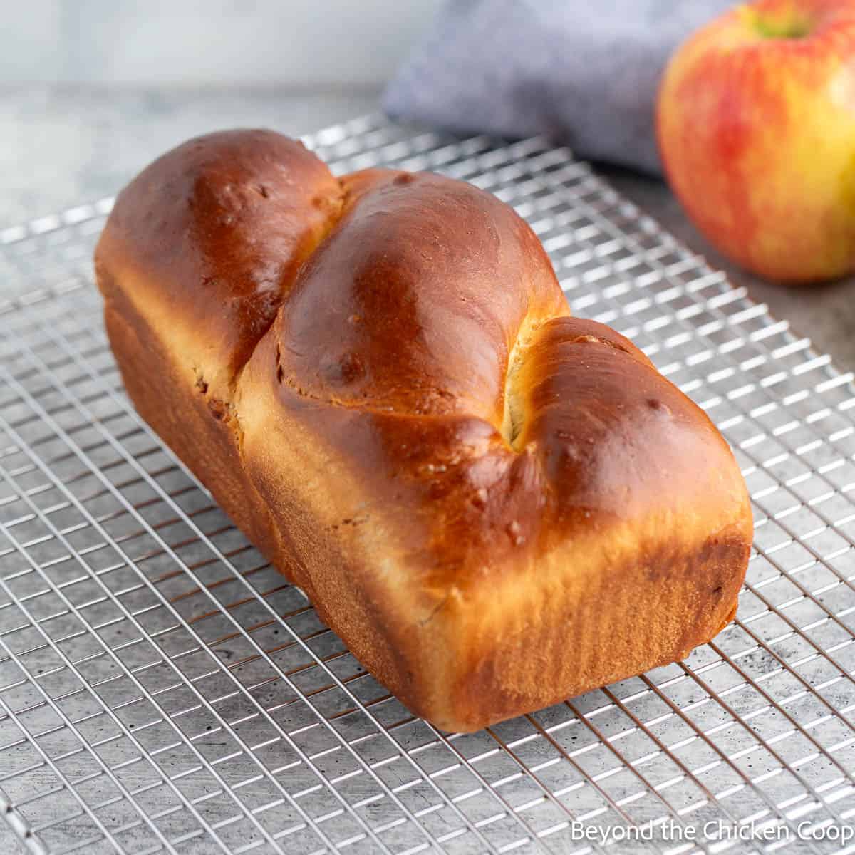 A baked babka on a cooling rack. 