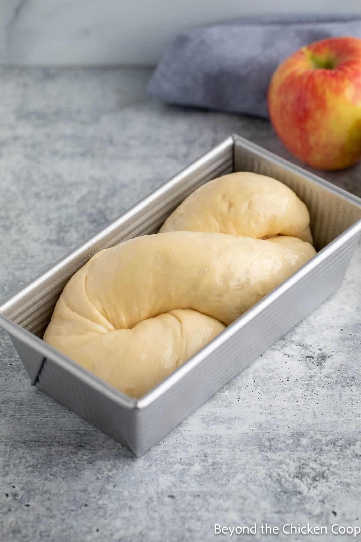 Dough shaped into a figure 8 in a loaf pan. 