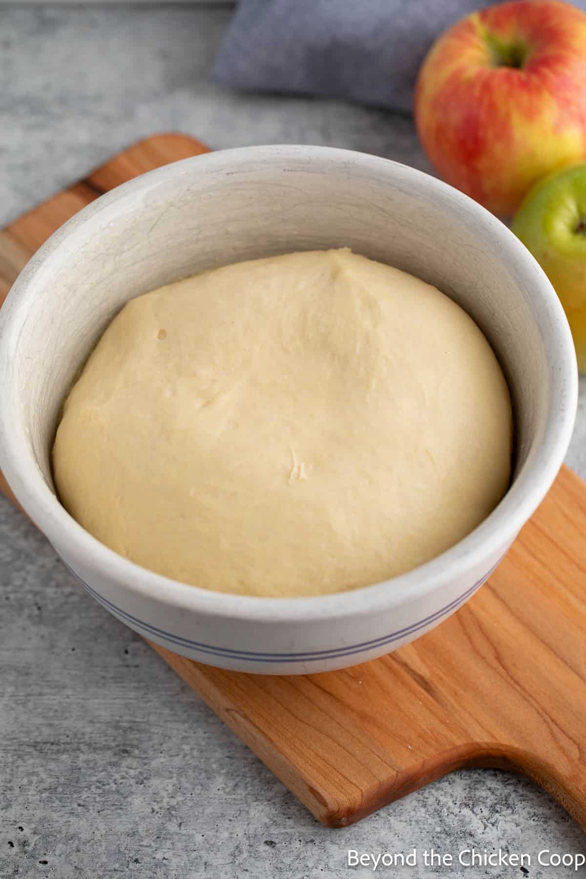 Yeast dough that has doubled in size. 