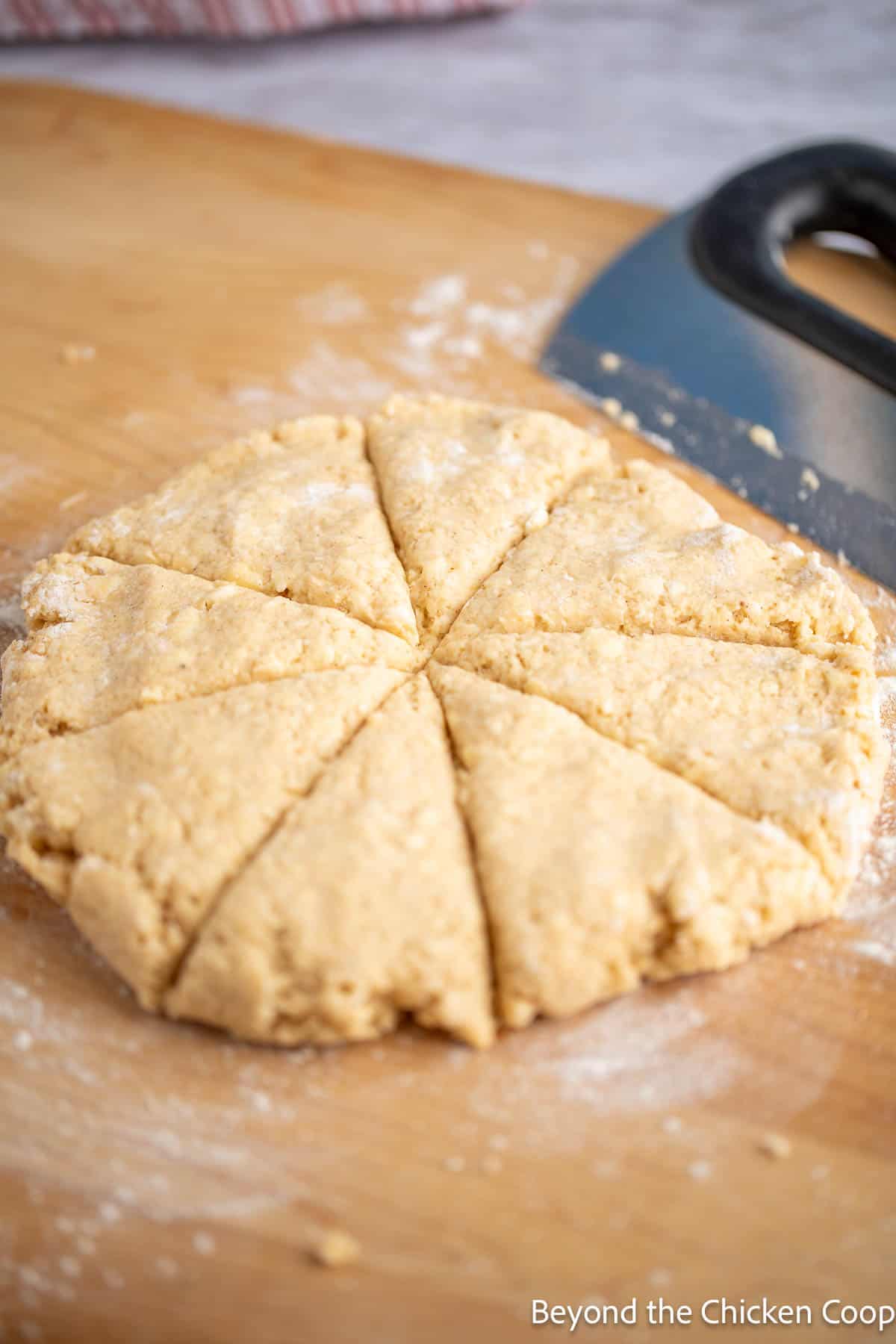 Scone dough formed into a circle and cut into wedges. 