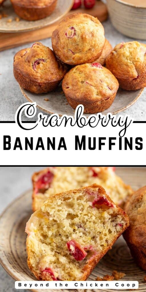 Banana muffins with cranberries on a plate.