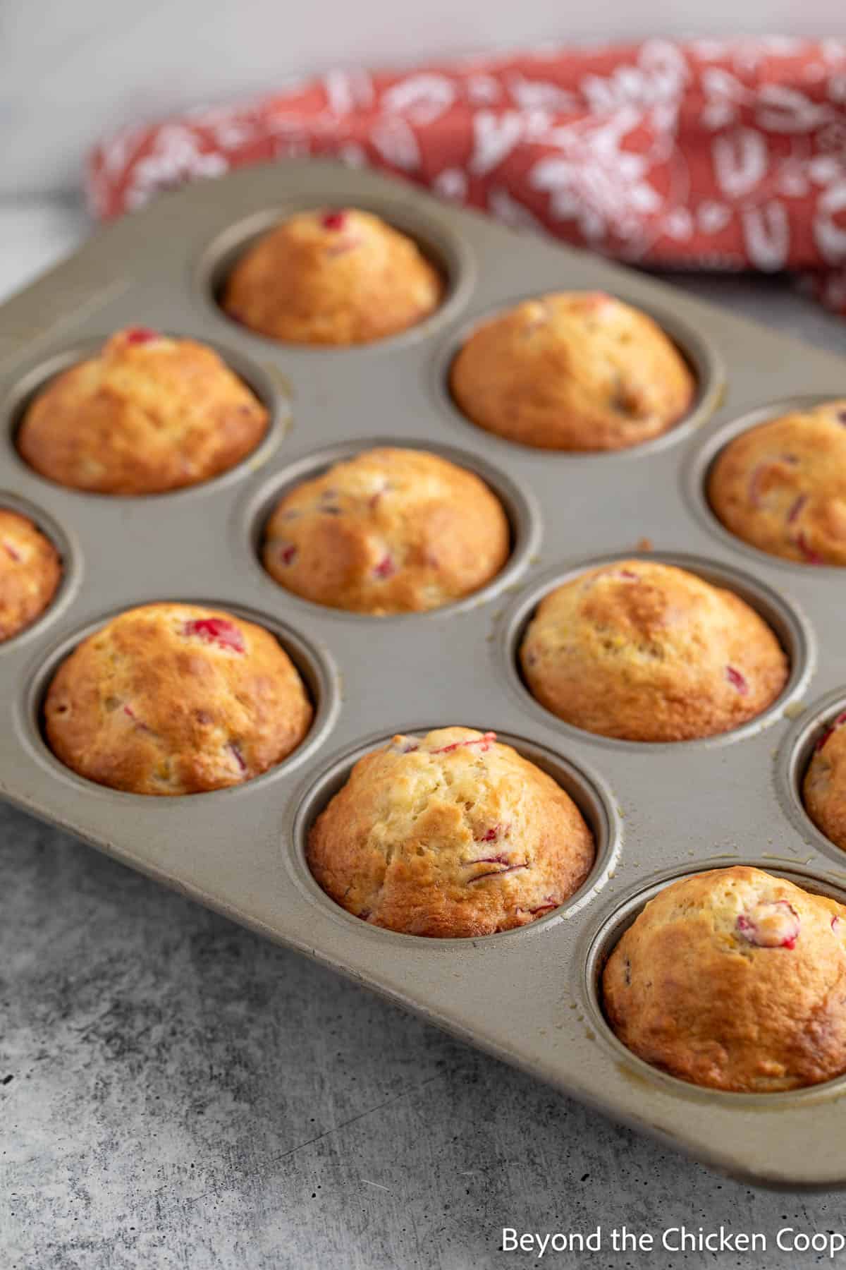 Baked muffins in a muffin tin. 