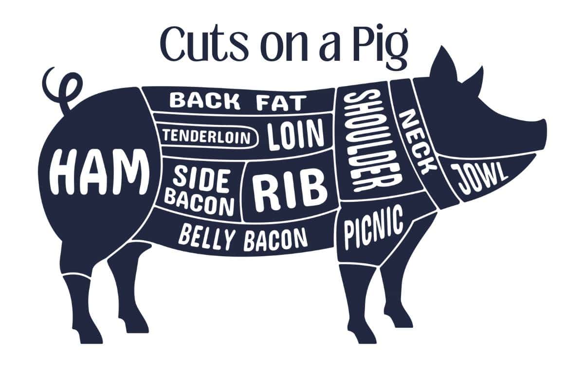 A diagram of a pig showing different meat cuts. 