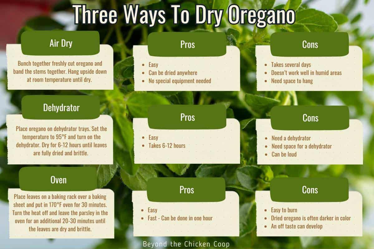 A chart showing pros and cons of drying oregano. 