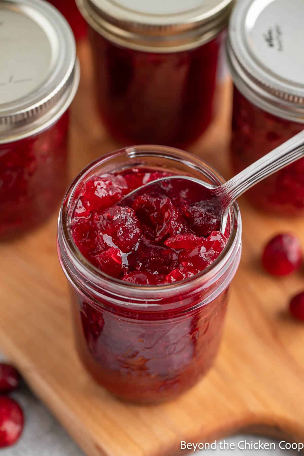 Cranberry sauce in a canning jar with a spoon. 