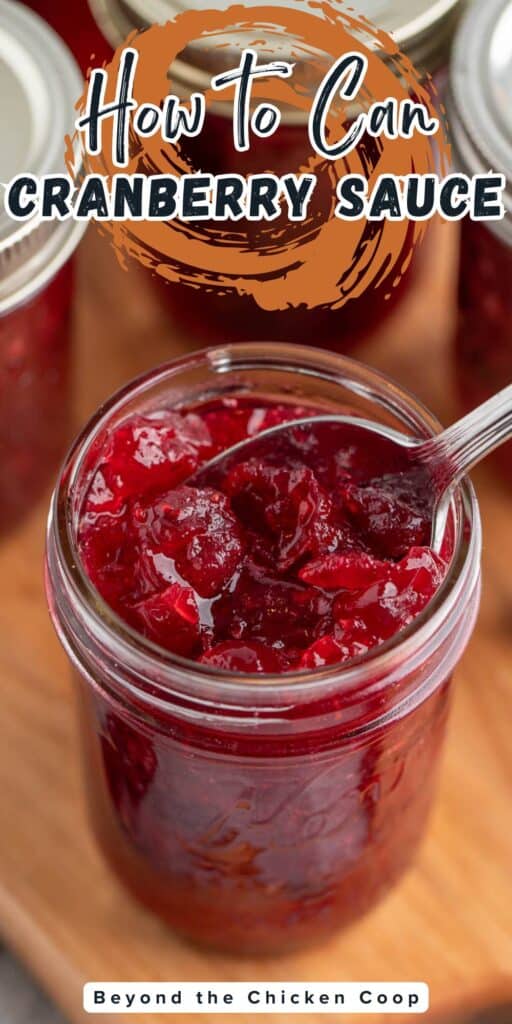 A canning jar filled with cranberry sauce.