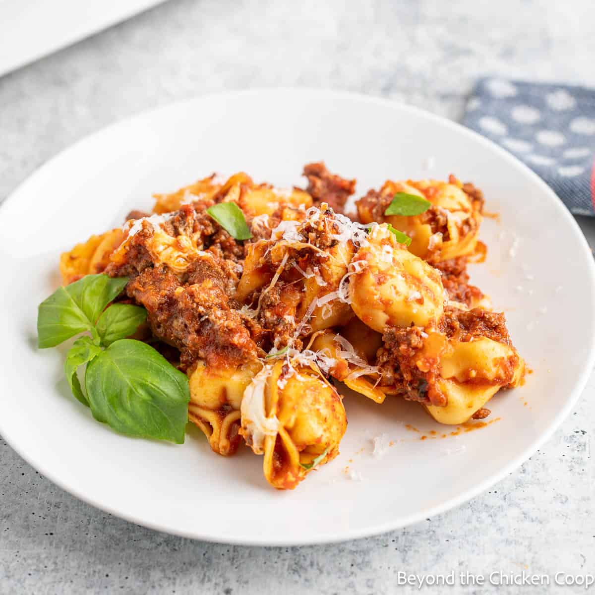 Baked tortellini with meat and sauce on a white plate.