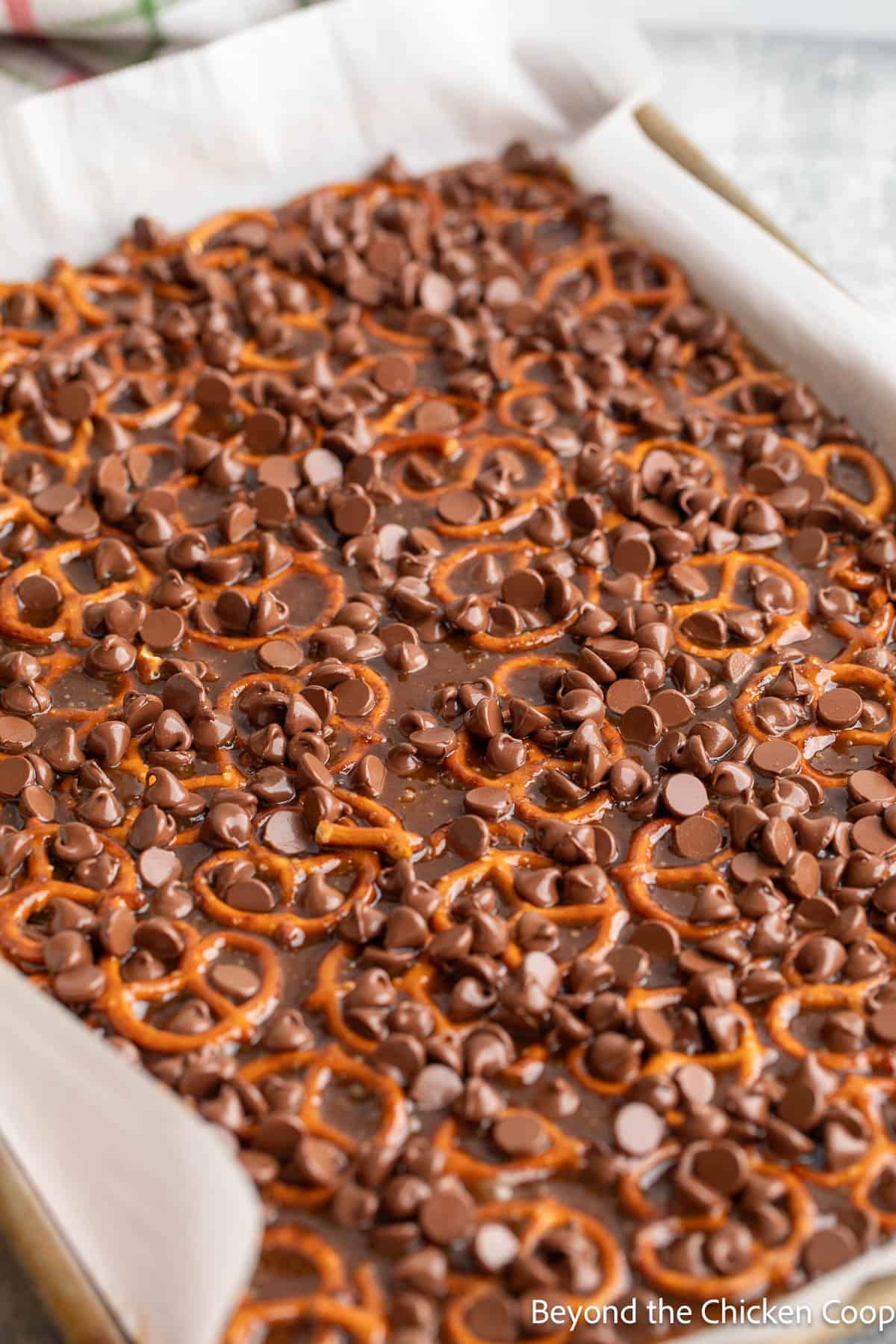 Chocolate chips on top of a tray of pretzels. 